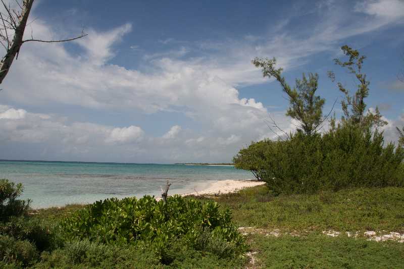 Mexico & Guatemala 2010 - 1286